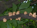 2007-Louisiana-Mission-Trip EBC (483).JPG